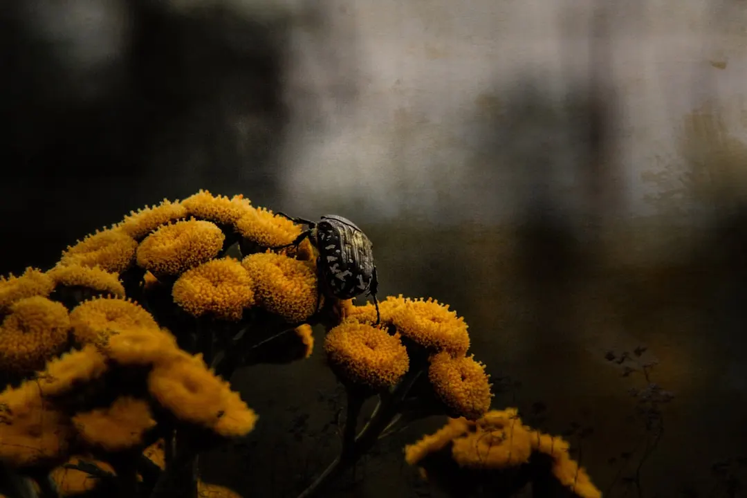 Network nodes connecting for an article by Atlanta based Software Engineer, Namir Ahmed.